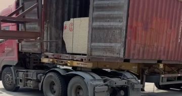 温州 黄金麻荔枝面毛板