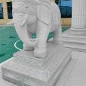 温州 白麻花岗岩动物异形石雕-大象