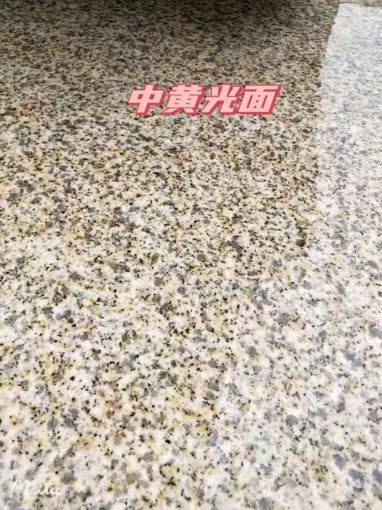 温州黄金麻中黄光面