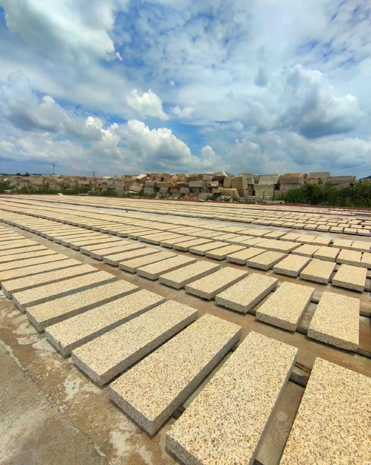 温州 黄金麻花岗岩荔枝面地铺石防护中