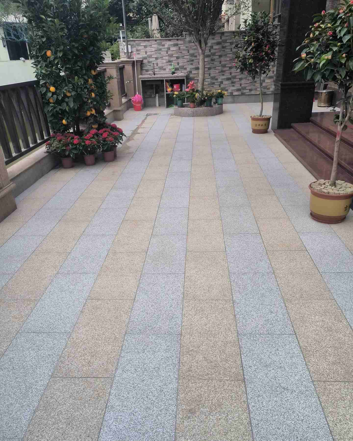 温州 黄金麻白麻荔枝面庭院铺装展示