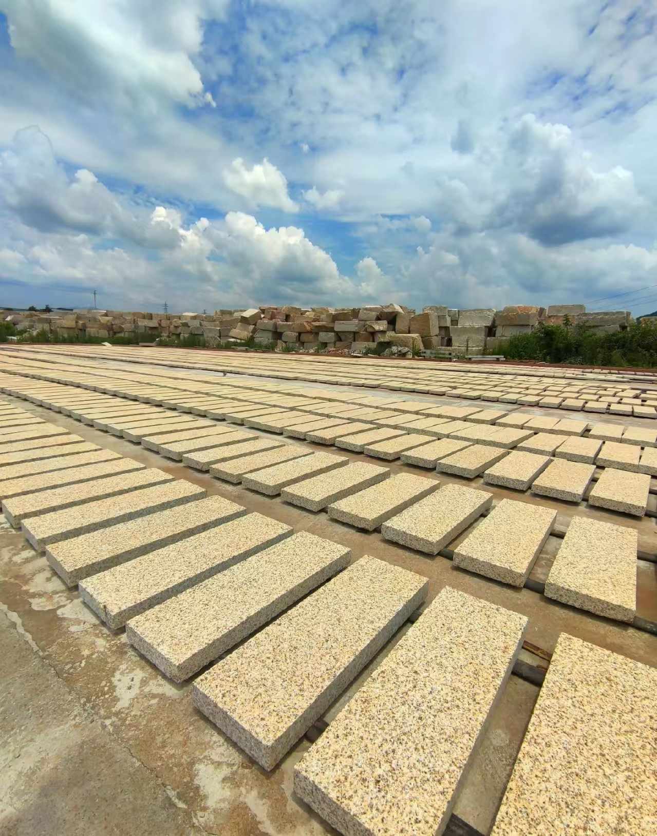 温州 黄金麻荔枝面花岗岩石材地铺石防护中